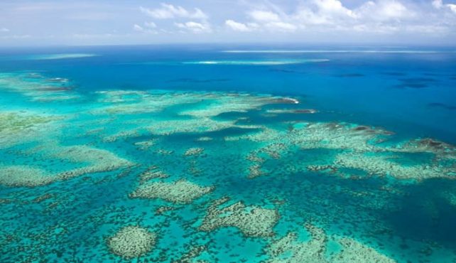 Viaje a Australia y Polinesia. Aborígenes y Paraísos