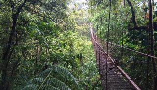 Viaje a Costa Rica. Grupo Mínimo 2. Inolvidable Paraíso