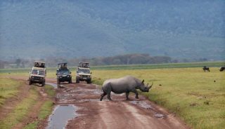 Viaje a Kenya y Tanzania
