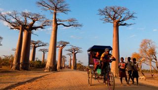 Viaje a Madagascar. La Isla Auténtica