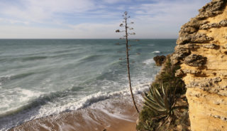 Viaje a Andalucía. Grupo verano. Golfo de Cádiz en velero – 7 días