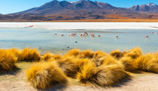 Viaje a Bolivia. Grupo verano. Colores del Altiplano