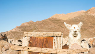 Viaje a Bolivia a medida. Antiguos senderos andinos