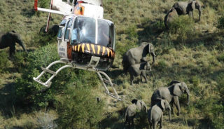 Viaje a Botswana y Cataratas victoria. En grupo. Tras la senda de los elefantes en Camión