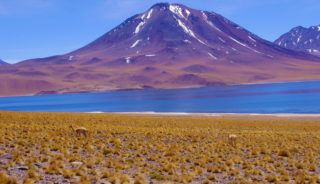 Viaje a Chile. Grupo Verano. La magia del desierto de Atacama y de la Isla de Pascua (Rapa Nui) con Guia acompañante Ester Tarragó
