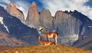 Viaje a Chile a medida. Desierto de Atacama y Patagonia