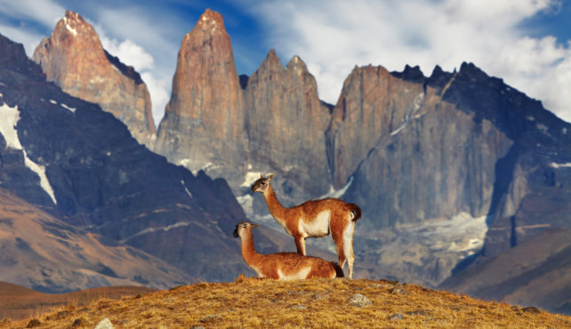 Viaje a Chile a medida. Desierto de Atacama y Patagonia