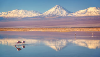 Viaje a Chile. A medida. Desierto de Atacama e Isla de Pascua