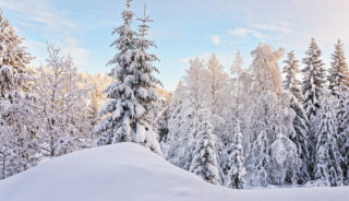 Viaje a Finlandia. Navidad. Viaje a Laponia - Salla, especial Navidad