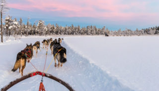 Viaje a Finlandia. Navidad. Salida 23 diciembre 2022. Viaje a Laponia – Salla, especial Navidad