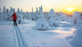 Viaje a Finlandia. Navidad. Viaje a Laponia – Salla, especial fin de año