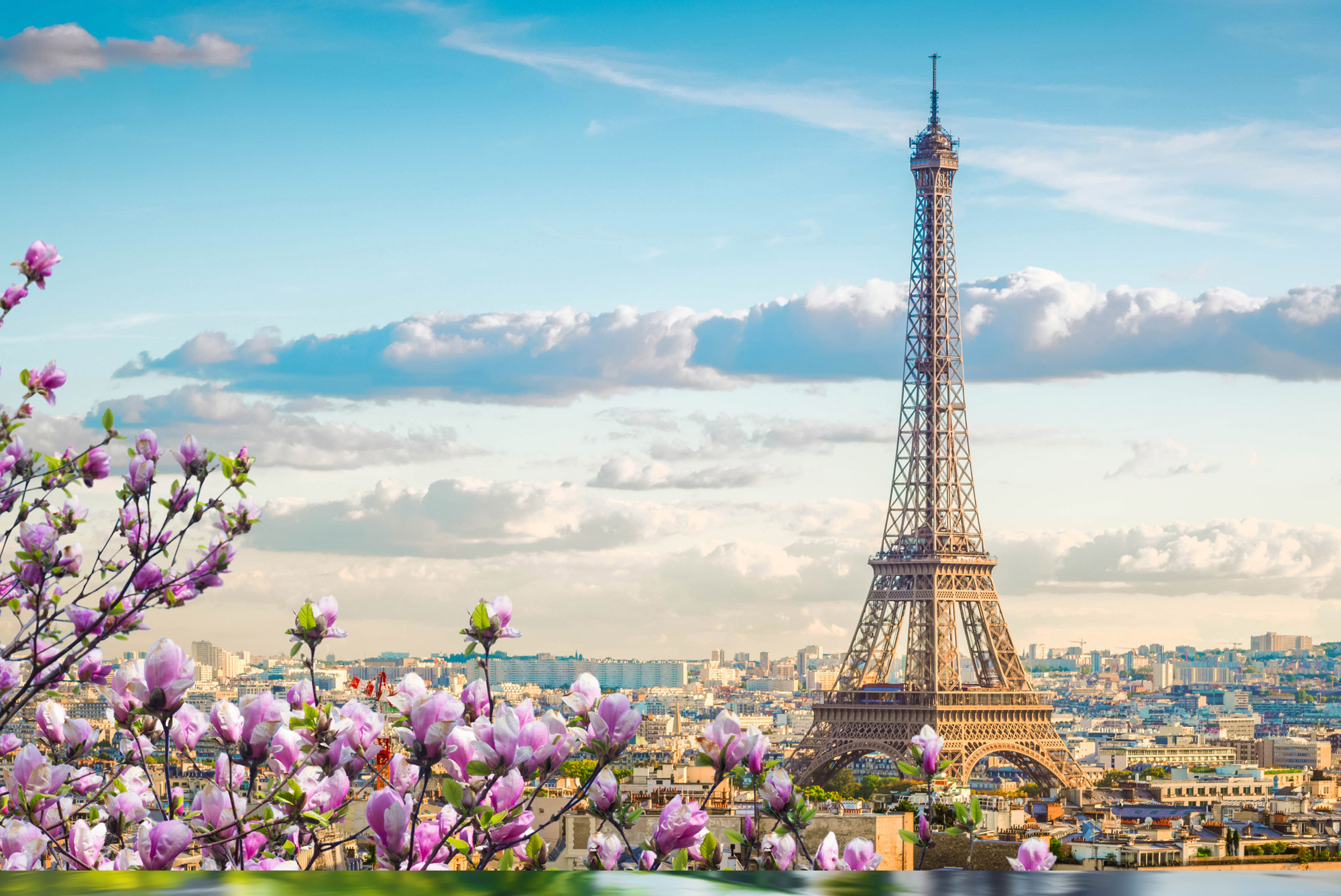 singles tours to france