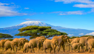 Viaje a Kenya en grupo. Safaris Mpaka y New Duma con extensión opcional a Zanzíbar, Mauricio o Seychelles