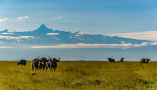 Viaje a Tanzania y Kenya a medida. Safari Ndovu. Extensión opcional a Zanzíbar, Mauricio o Seychelles