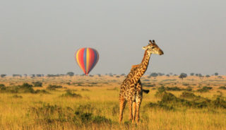 Viaje a Kenya y Tanzania a medida. Classic Safari Nyota en 4x4