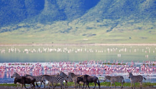 Viaje a Tanzania y Kenya en grupo. Safari Ndovu con extensión opcional a Zanzíbar, Mauricio o Seychelles