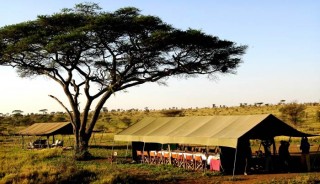 Viaje a Kenya, Tanzania y Zanzíbar. Navidad. Fin de año en Serengeti
