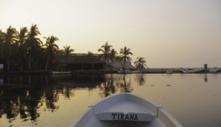 Viaje a México sostenible. Grupo Verano. Liberación y cuidado de tortugas y ruta ecoturística