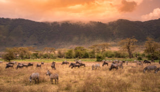 Viaje a Tanzania. A medida. Classic Safari migraciones y etnias Tanzania 4x4